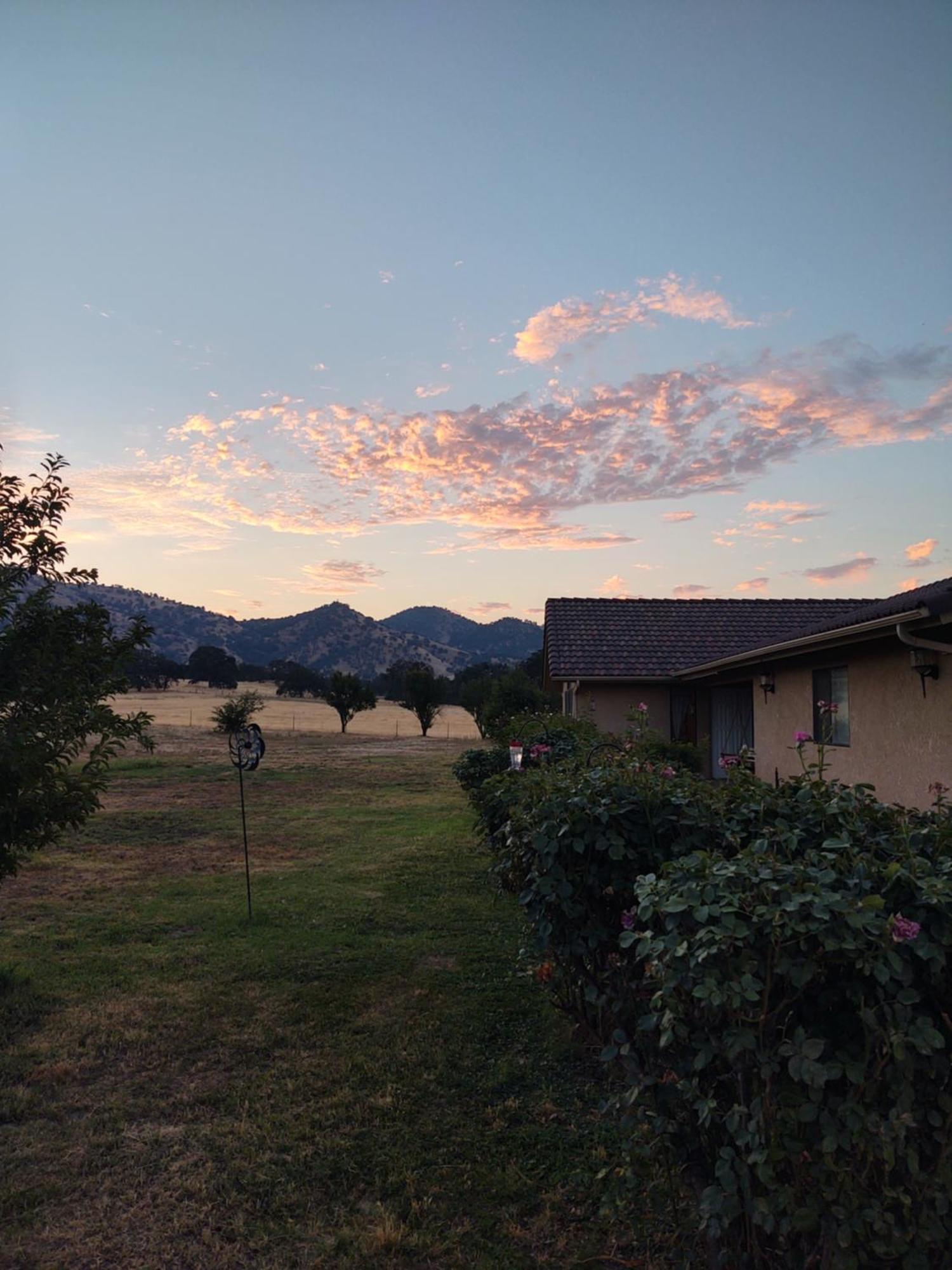 The Branded Calf Bed & Breakfast Yokuts Valley  Exteriör bild