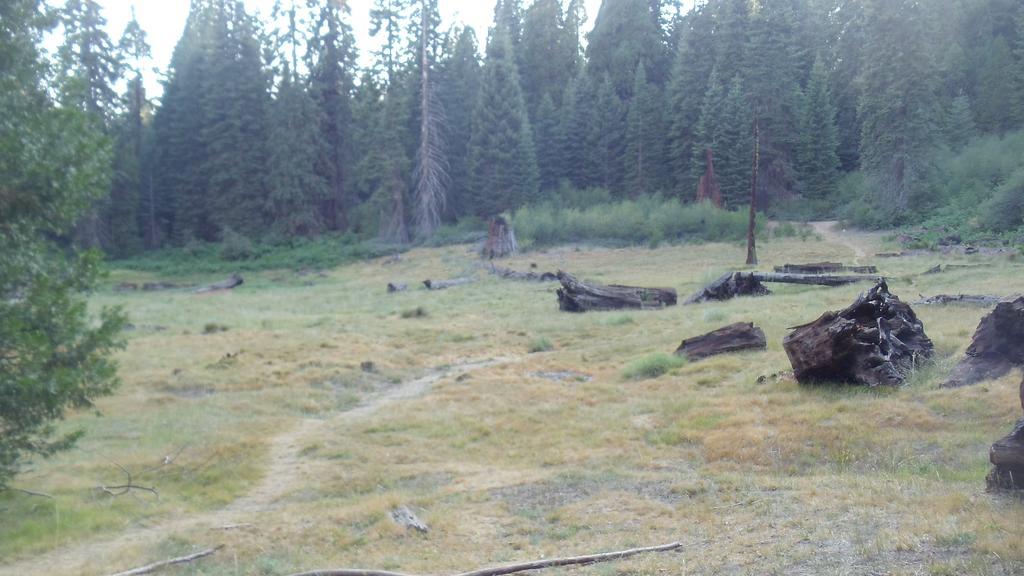 The Branded Calf Bed & Breakfast Yokuts Valley  Exteriör bild