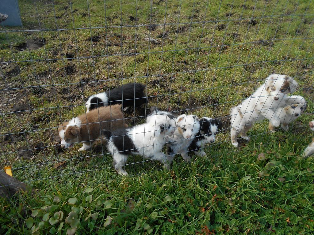 The Branded Calf Bed & Breakfast Yokuts Valley  Exteriör bild