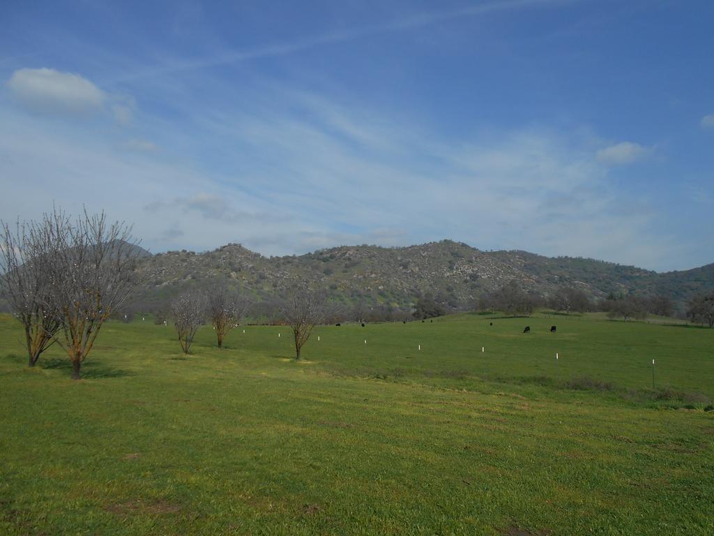 The Branded Calf Bed & Breakfast Yokuts Valley  Exteriör bild