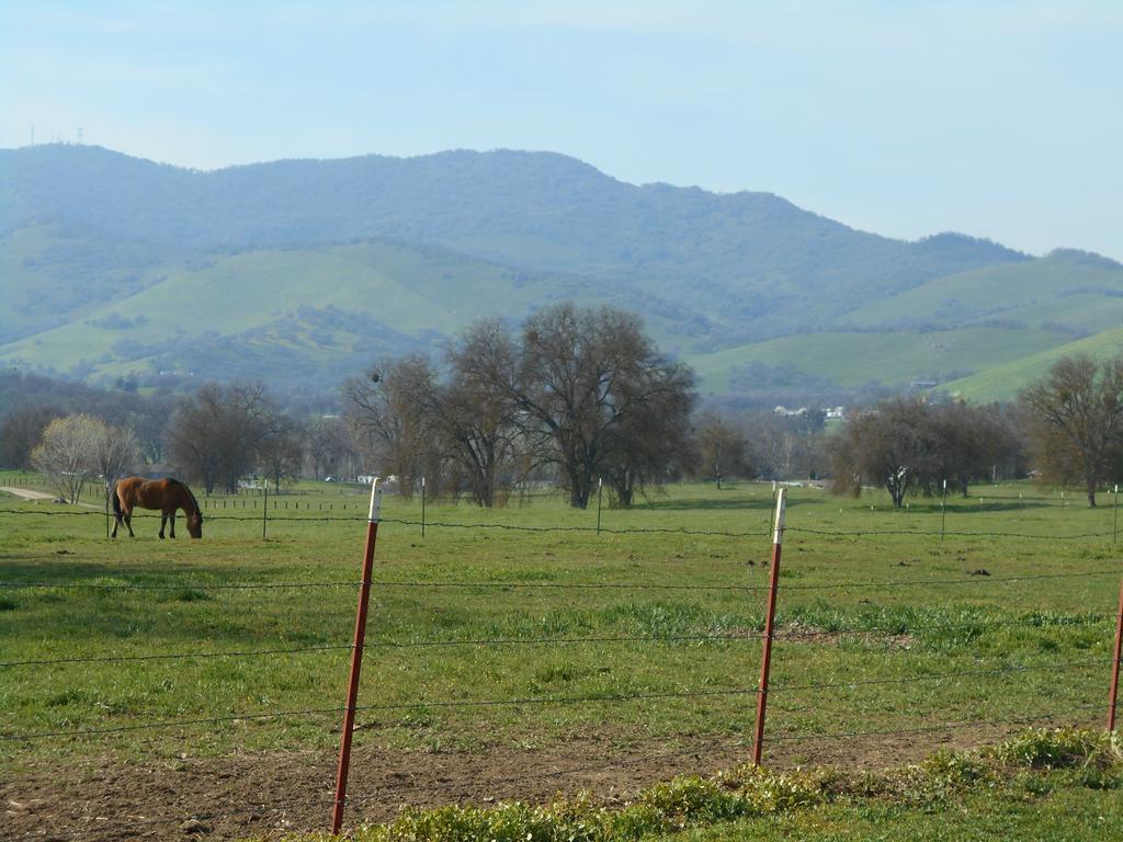 The Branded Calf Bed & Breakfast Yokuts Valley  Exteriör bild