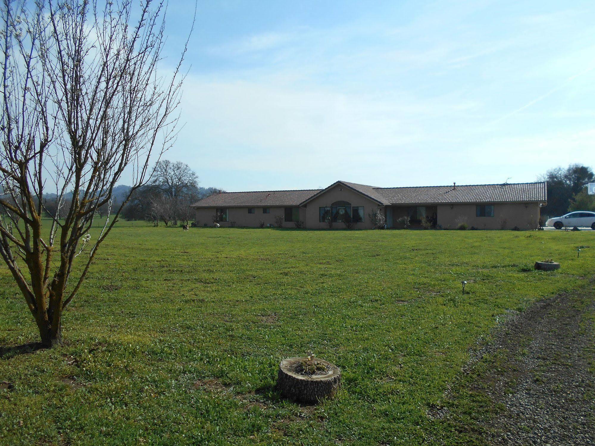 The Branded Calf Bed & Breakfast Yokuts Valley  Exteriör bild